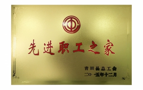 资质声誉-金沙官网,电子式电能,智能电能表,智能开关,智能A